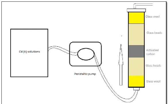 Figure 1. Schematic diagram of continuous flow packed-bed column system   