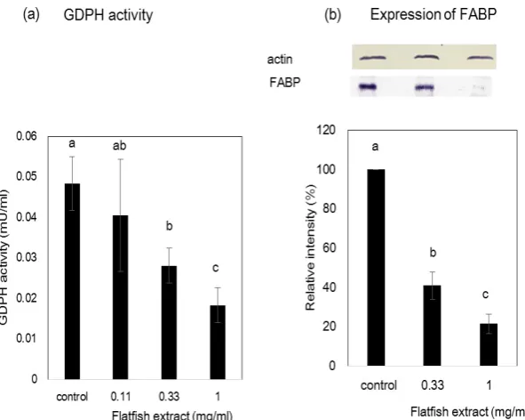 Figure 1.  Effect of flatfish extract on lipid accumulation during the differentiation of 3T3-L1 preadipocyte cells