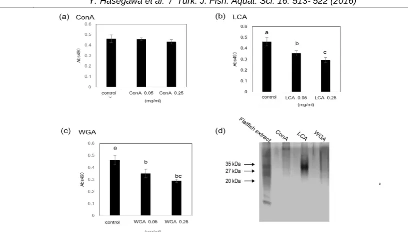 Figure 8.  Effect of TFMS-treated flatfish extract on lipid accumulation during the differentiation of 3T3-L1 preadipocyte cells