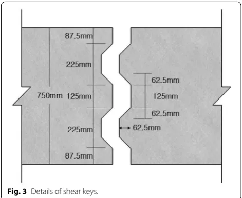 Fig. 3 Details of shear keys.