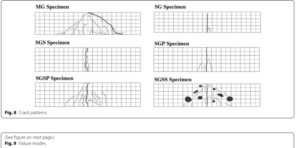 Fig. 8 Crack patterns.
