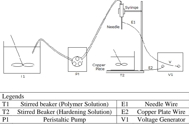 Figure 2. Schematic Apparatus Set Up for Electrostatic Extrusion. 
