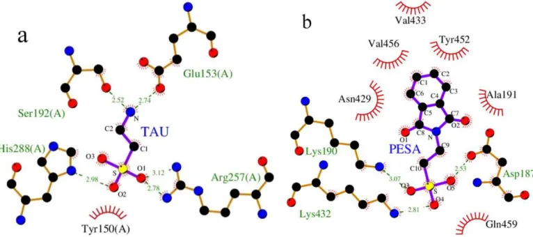 Fig. 5: Structural details of the interaction between TAU or PESA and HSA obtained by molecular modeling method  Ligands bonds are shown as purple; the ligands and amino acid residues are denoted as sticks and ball models (C, black; O, red; N, blue; S, 