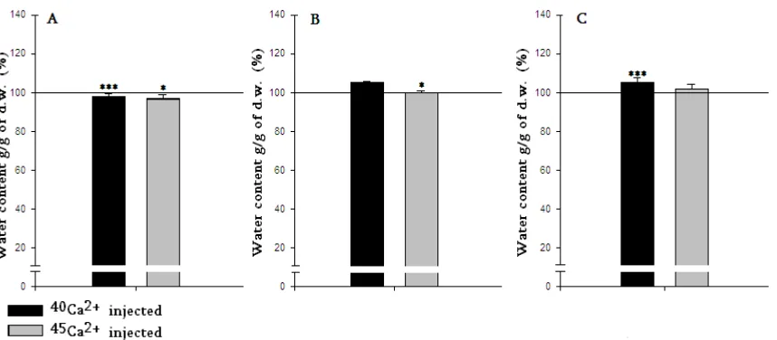 Fig. 2: The effect of i/p injection with PS  containing 40Ca2+ (black column) and PS containing 45Ca2+ (gray column) on water content in heart muscle (A), brain cortex (B) and cerebellum (C) tissues