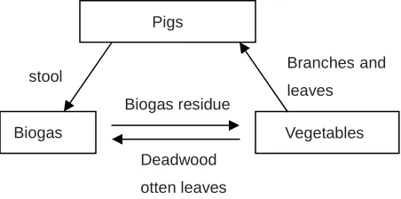 Fig. 2 :“Pig - Biogas – vegetables” circular agriculture mode  
