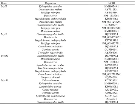 Table 2. Accession numbers of the MyoD, Myf5, Myf6 and MyoG genes used in the analysis  