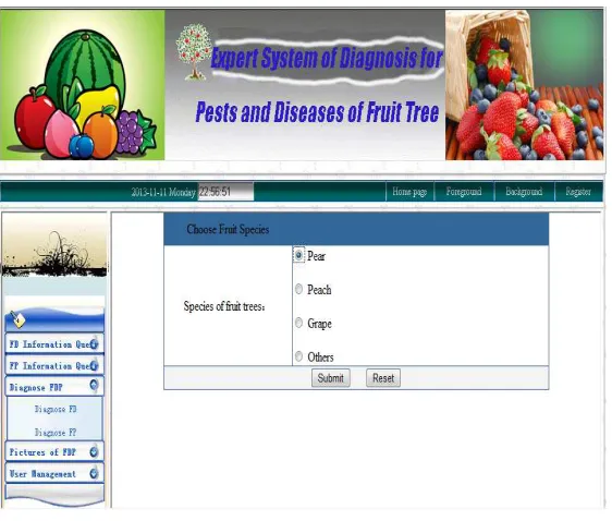 Figure 5: Results page of disease information diagnosis   