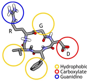 Fig. 2: Structure-based pharmacophore features of RGD ligand.