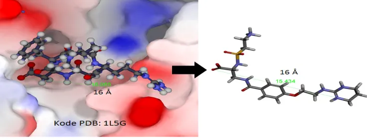 Fig. 3: One of the possible conversions from RGD to the new integrin ligand.
