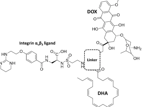 Fig. 8: The possible scheme of DOX conjugate with integrin ligand and DHA using a linker as a center of the molecule.