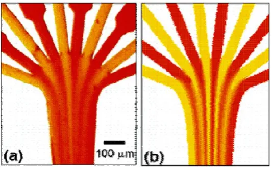 Figure 2.1: (a) Experimental and (b) numerical visualizations of fluid mixing in 