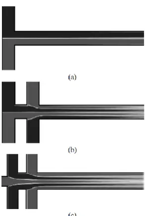 Figure 2.6: Distribution of species concentration in wavy-wall channels by (a) continuous injection, (b) pulsed injection with a certain period and (c) pulsed injection with the period double that for (b) (from Chen and Cho [18])