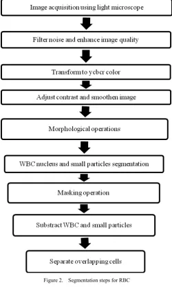Figure 2. Segmentation steps for RBC 