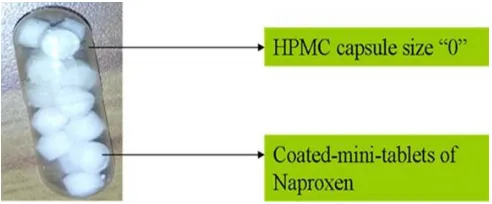 Fig. 2: Matrix-mini-tablets filled capsule formulation of lornoxicam.