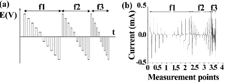Fig. 1: Sketch map of the structure of Smartongue 