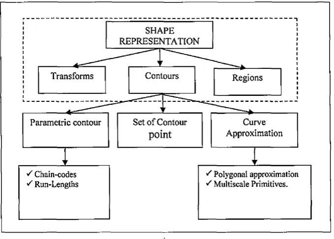 Figure 2.1 : A taxonomy of contour based shape representation techniques (Luciano and Roberto, 2009) 