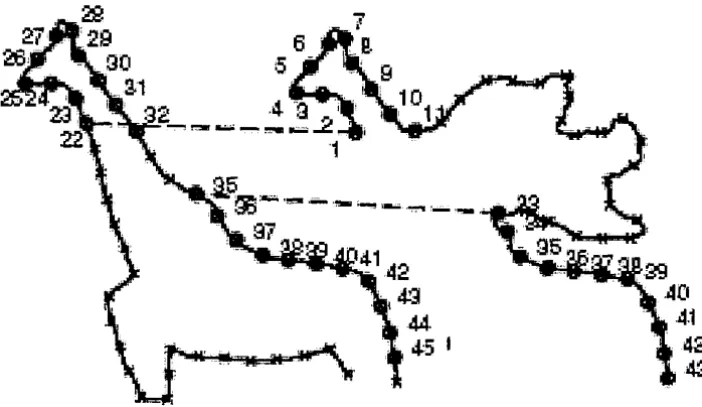 Figure 2.2: Contour based representation (Kaick et a/., 2007) 