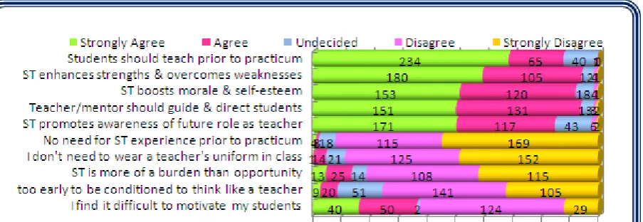 Figure 1.  Beliefs on simulated teaching 