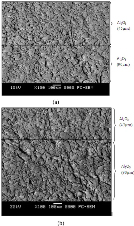 Fig. 3 Cross sectional images of sintered double layers ceramic structure (Al2O3 / Al2O3) that dried using different technique; (a) microwave, (b) natural 
