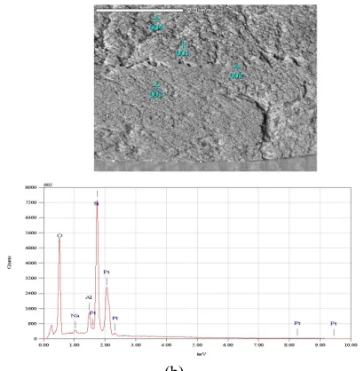 Fig. 5 EDS mapping for double layers ceramic Al2O3 / SiO2 