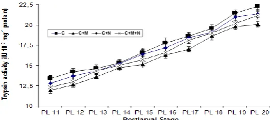 Figure 1.  Protein content (mean±S.E.) of F. indicus postlarvae fed different diet combinations