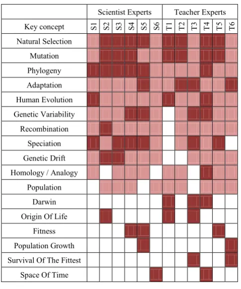 Table 2.  Key concepts of biological evolution mentioned by at least two experts; displaying the concept by card, displayed by cards during the interviews are written in spontaneously mentioned,  considered important after  concept not mentioned; concepts italics 