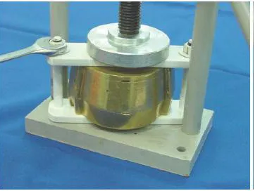 Figure 2.6: Rafael and Saide (RS) flask Closure (Rafael et al., 2004) 