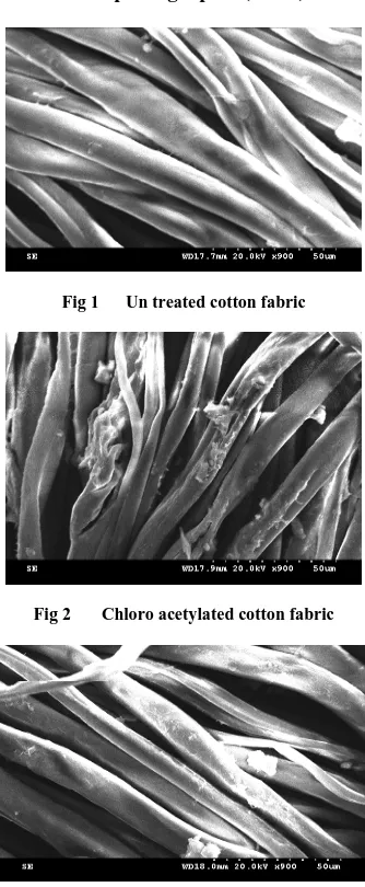 Fig 1      Un treated cotton fabric   