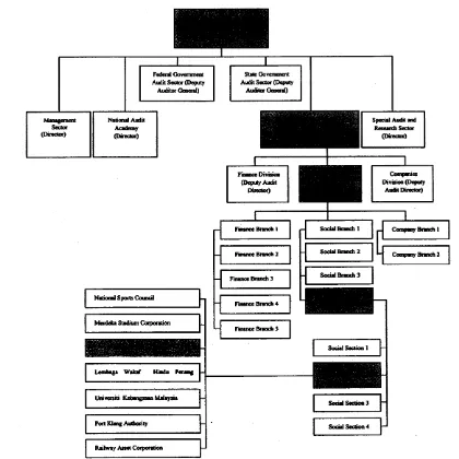 Figure 2: NAD's organization chart and example of how performance auditfor one audit branch at the headquarters is segregated for the year 2005(Source :The study, 2008)