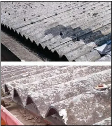 Figure 2.4 : Asbestos cement-roof (Chiesa, 2010) 
