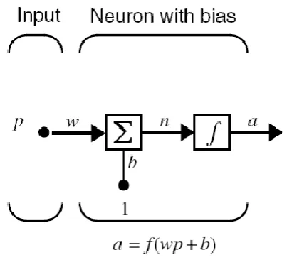 Figure 2.3: Single Input Neuron. [16] 