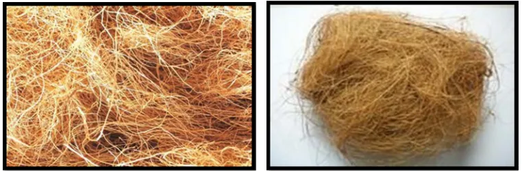 gambar serat kelapa yang biasanya digunakan dalam industri. 
