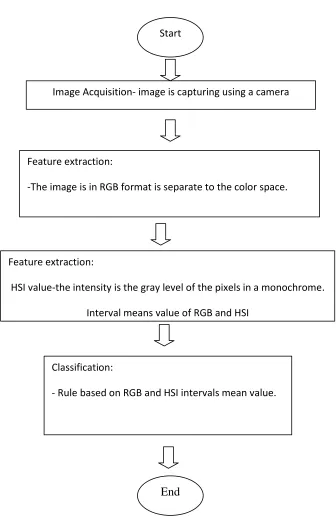 Figure 3.1: Flow chart of system grading meat freshness overview 