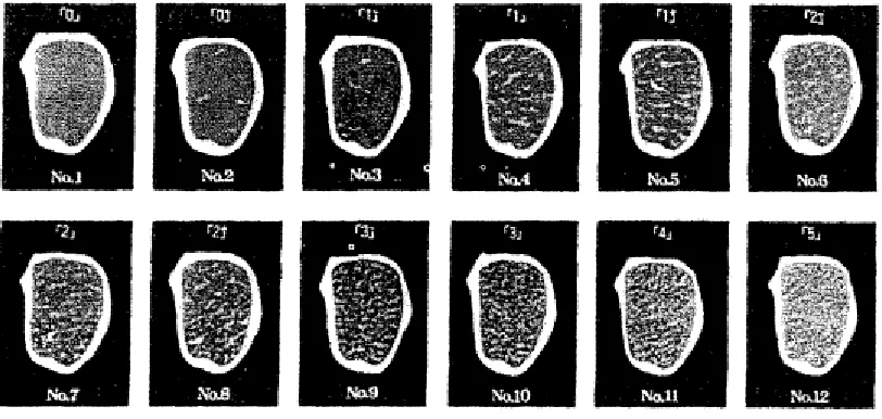 Figure 2.1: Beef marbling standard 