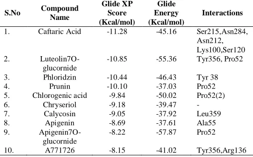 Table 2: Docking results for the phytomolecules against human DHODH using GlideXP. 
