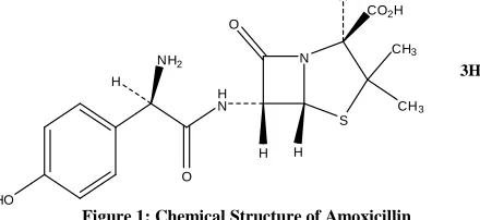 Figure 1: Chemical Structure of Amoxicillin 