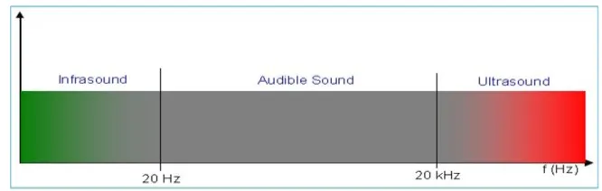 Figure 2.1: Perception of Sound in Mammals and other species 