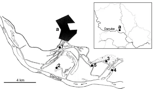 Figure 1.  Map of the Koviljsko-Petrovaradinski Rit with respective sampling sites. a - Town of Kovilj