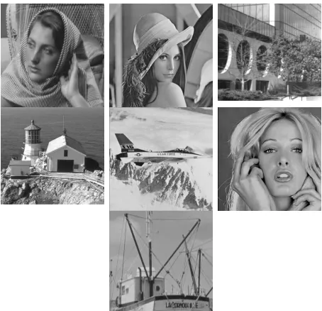 Figure 1.Example of selected smooth regions from Lena image corruptedby noise of σ = 10.