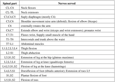 Table 1.1: Nerves served to each spinals part. 