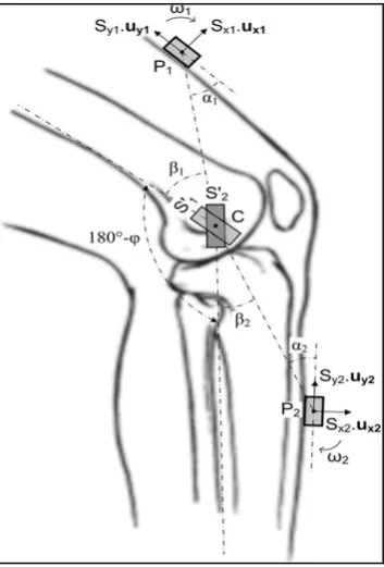 Figure 2.1: Sensor placed on thigh and shank with virtual sensor as center of 