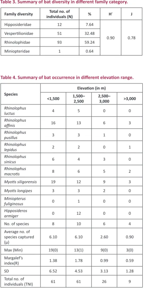 Table 3. Summary of bat diversity in different family category.