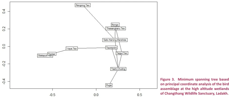 Figure 3.  Minimum spanning tree based on principal coordinate analysis of the bird 