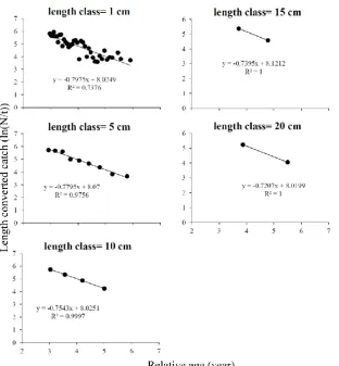 Figure 3.  The simulated plots of length converted catch values and relative ages among a series of sample sizes (Z=0.80 year-1 and length class=5 cm)