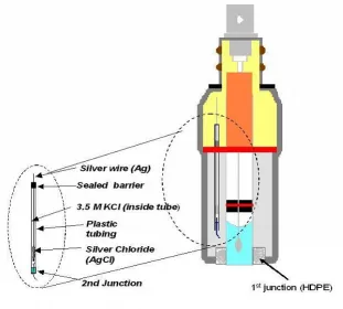 Figure 2.3 an example of pH electrode and a reference electrode. 