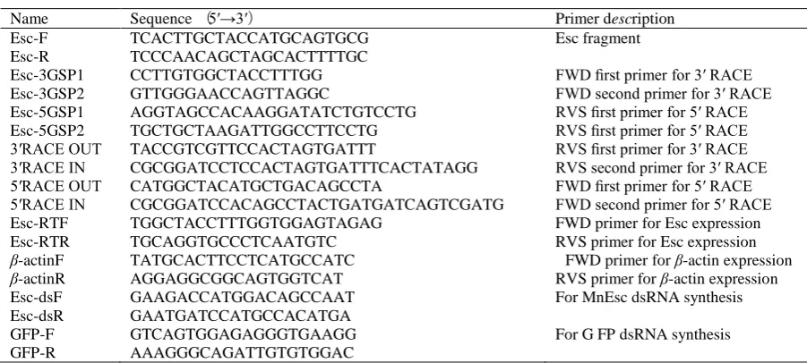 Table 1. Primers used in this study  