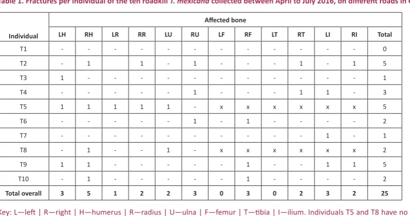 Figure 1. Selected x-rays of fractures in different bones from the ten roadkill T. mexicanaroads in Costa Rica
