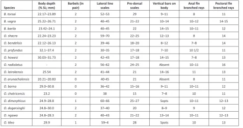 Table 2. Comparative measurements of body depth, vertical bars on body and meristic counts of Barilius torsai sp