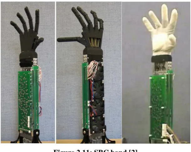 Figure 2.12: SDM hand [2] 