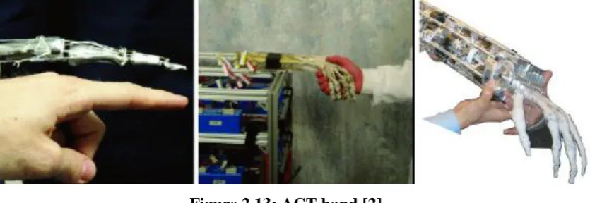 Figure 2.13: ACT hand [2] 